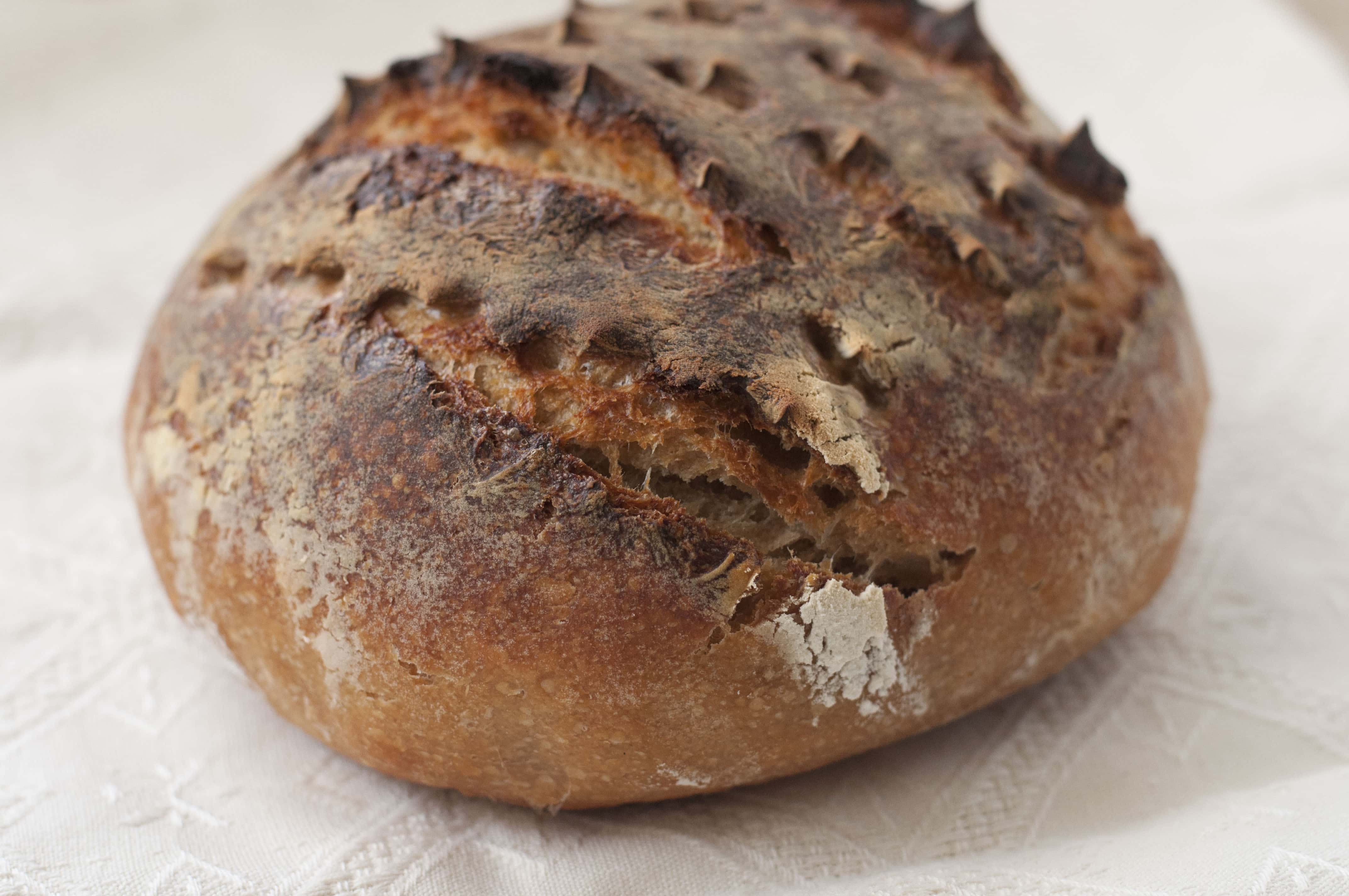 my first sourdough bread