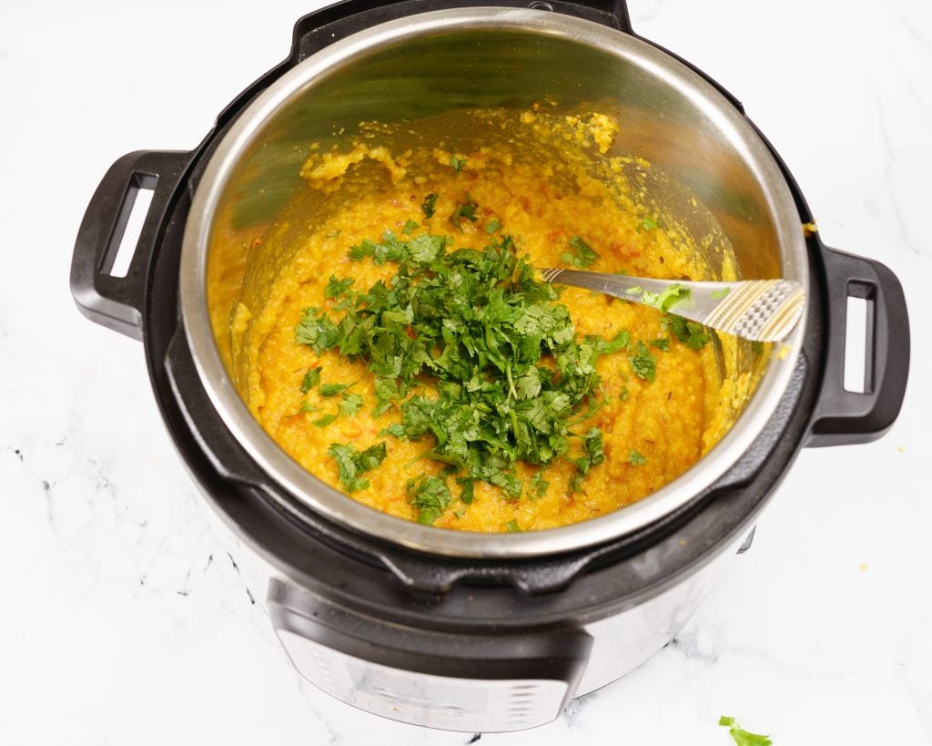 Instant Pot Moong Dal Khichdi