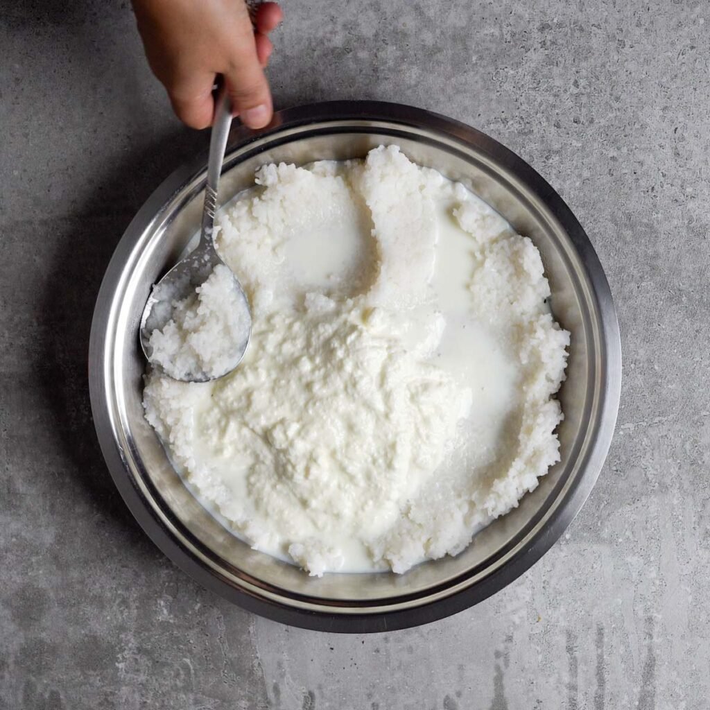 Mashed rice with yogurt or curd and milk in a large plate