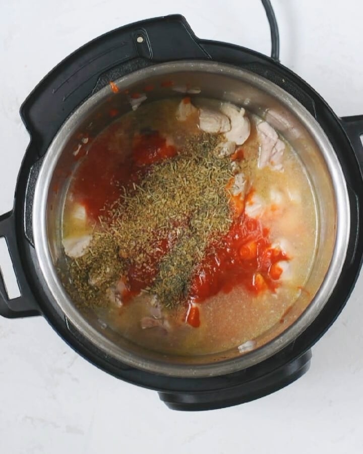 pasta seasoning, chicken, pasta sauce and water in the instant pot