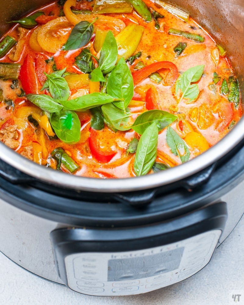 Pot Panang Thai Red Curry with Chicken and Vegetables