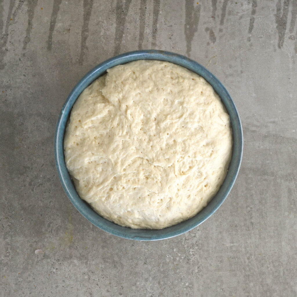 Naan Dough after Proofing