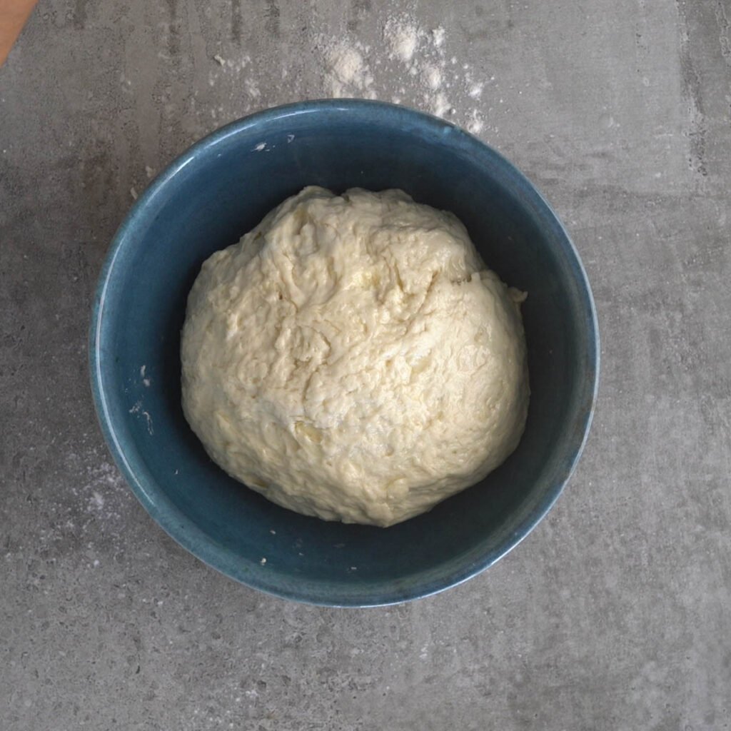 Naan Dough before Proofing