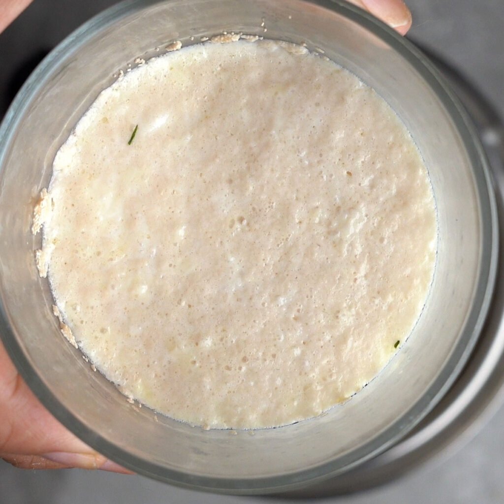 Activated Yeast in warm milk